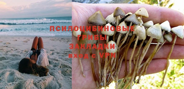 дурь Белоозёрский