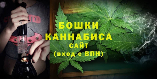 дурь Белокуриха
