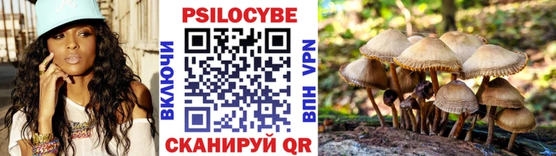 Псилоцибиновые грибы ЛСД закладки Горячий Ключ