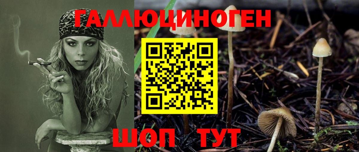 хочу   Псилоцибиновые грибы Magic Shrooms  Галлюциногенные грибы Magic Shrooms  Вход с VPN  Горячий Ключ 