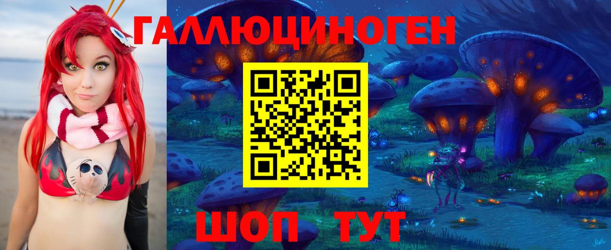 Псилоцибиновые грибы прущие грибы Горячий Ключ